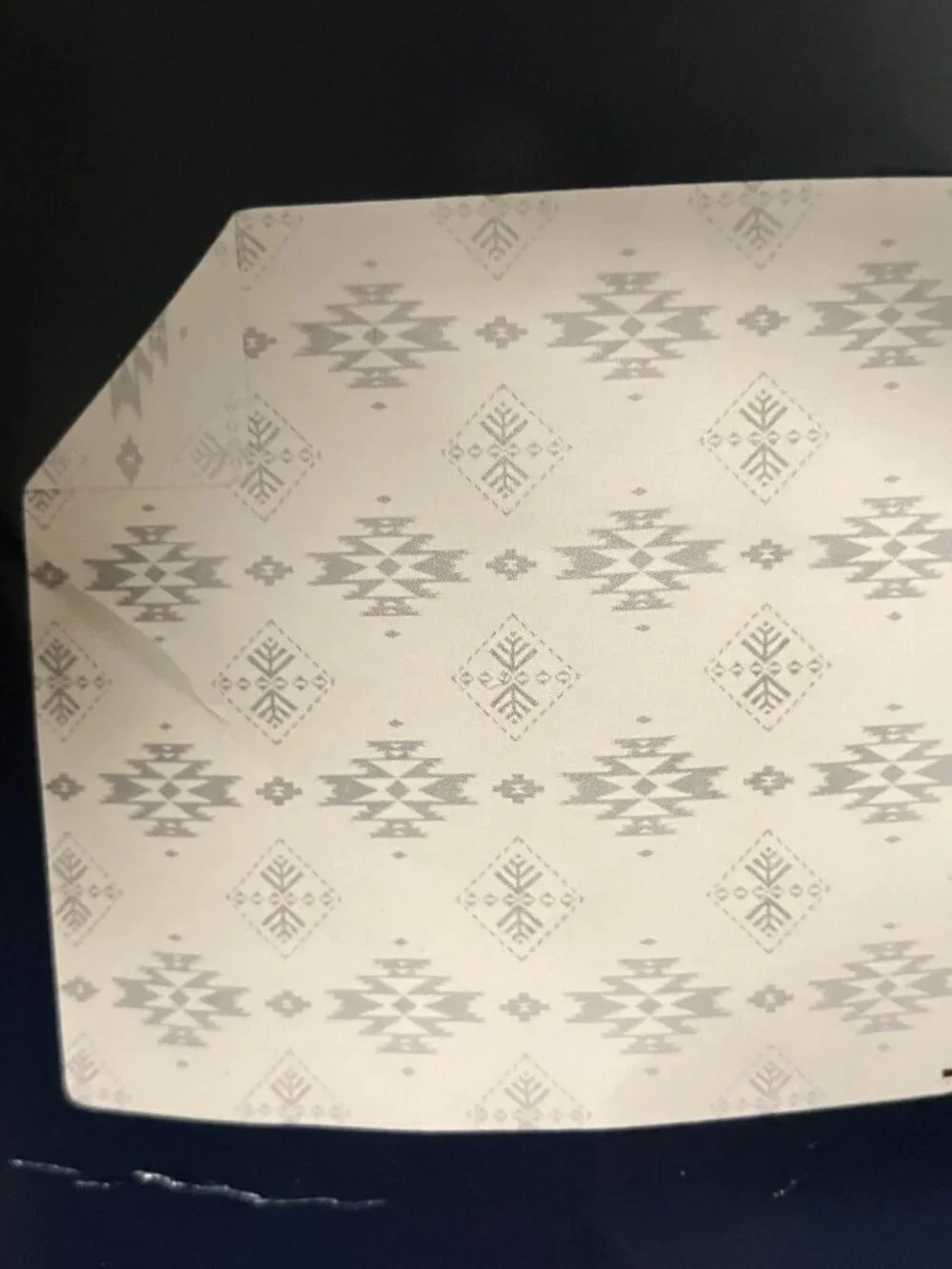 *NEW* Pendleton Plush Throw - King 112